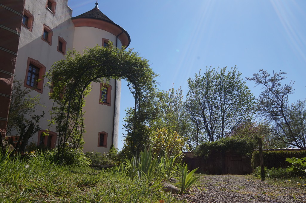 Schloss Hohenfels Rosengarten