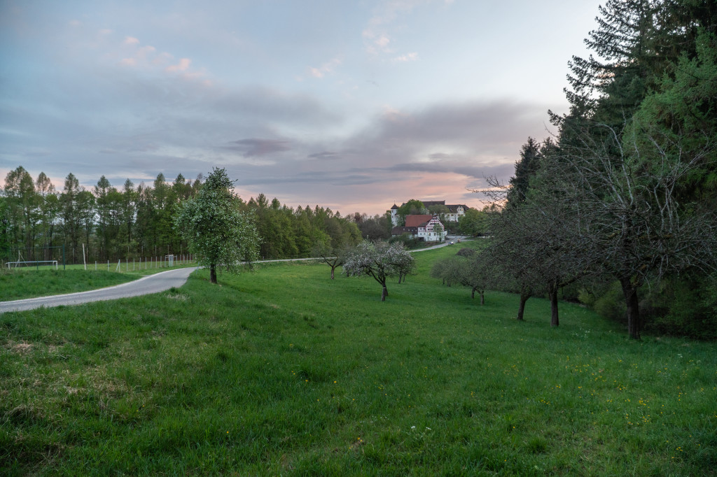 Schloss Hohenfels Wiese